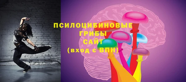 соль ск Абаза