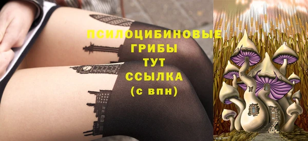 соль ск Абаза